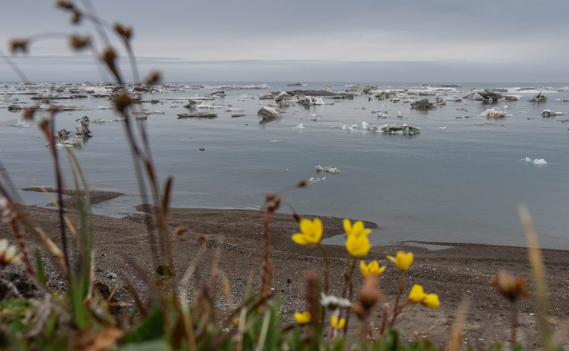 Winter 2025 expedition blog: CNR and DTU WP1 and 4 in Greenland