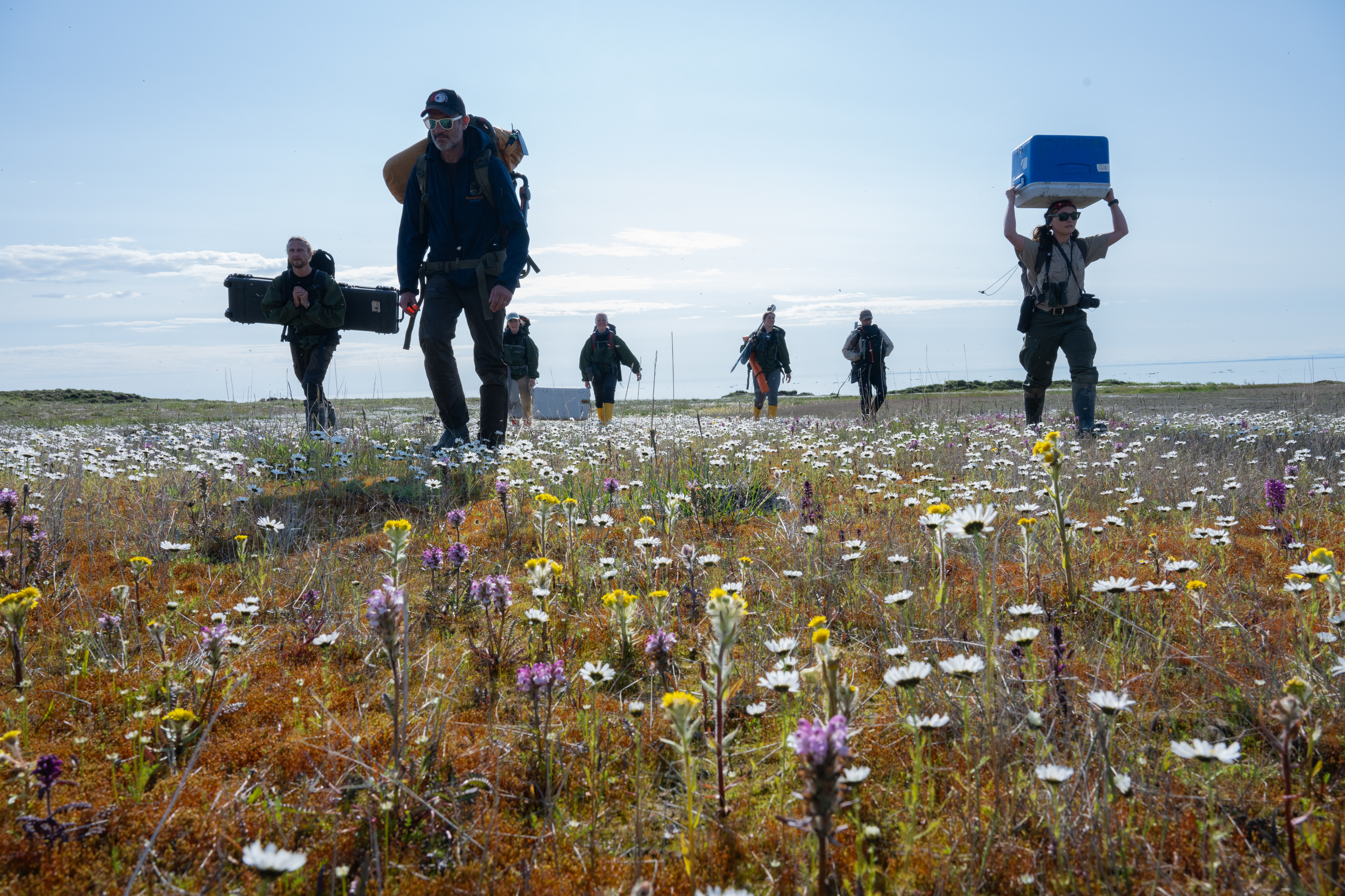 Midnight Sun and Melting Ground: Field Trip Impressions from the High North