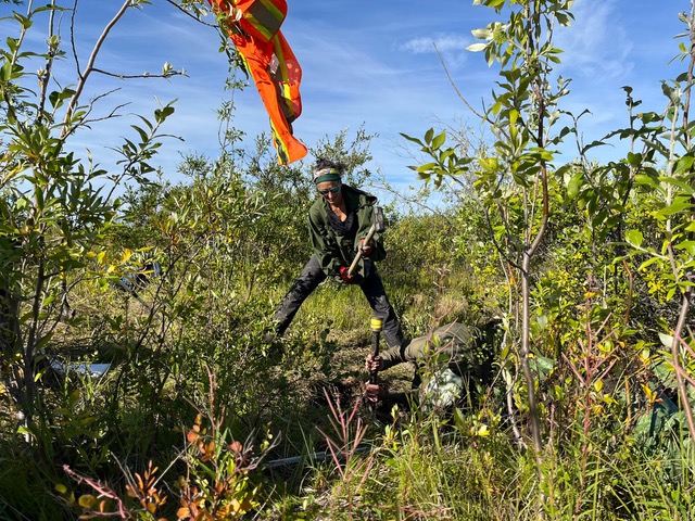 94f95413 29d8 455c a15f 6fe6b0b89578