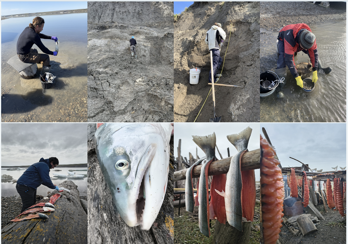 Top: Marine sediment and benthos sampling and sieving; Salt sediments evaluation and collection. Bottom: Biologic sampling: Dolly Varden species as an example© Rute Cesário and Mário Dias – University of Lisbon Picture 4