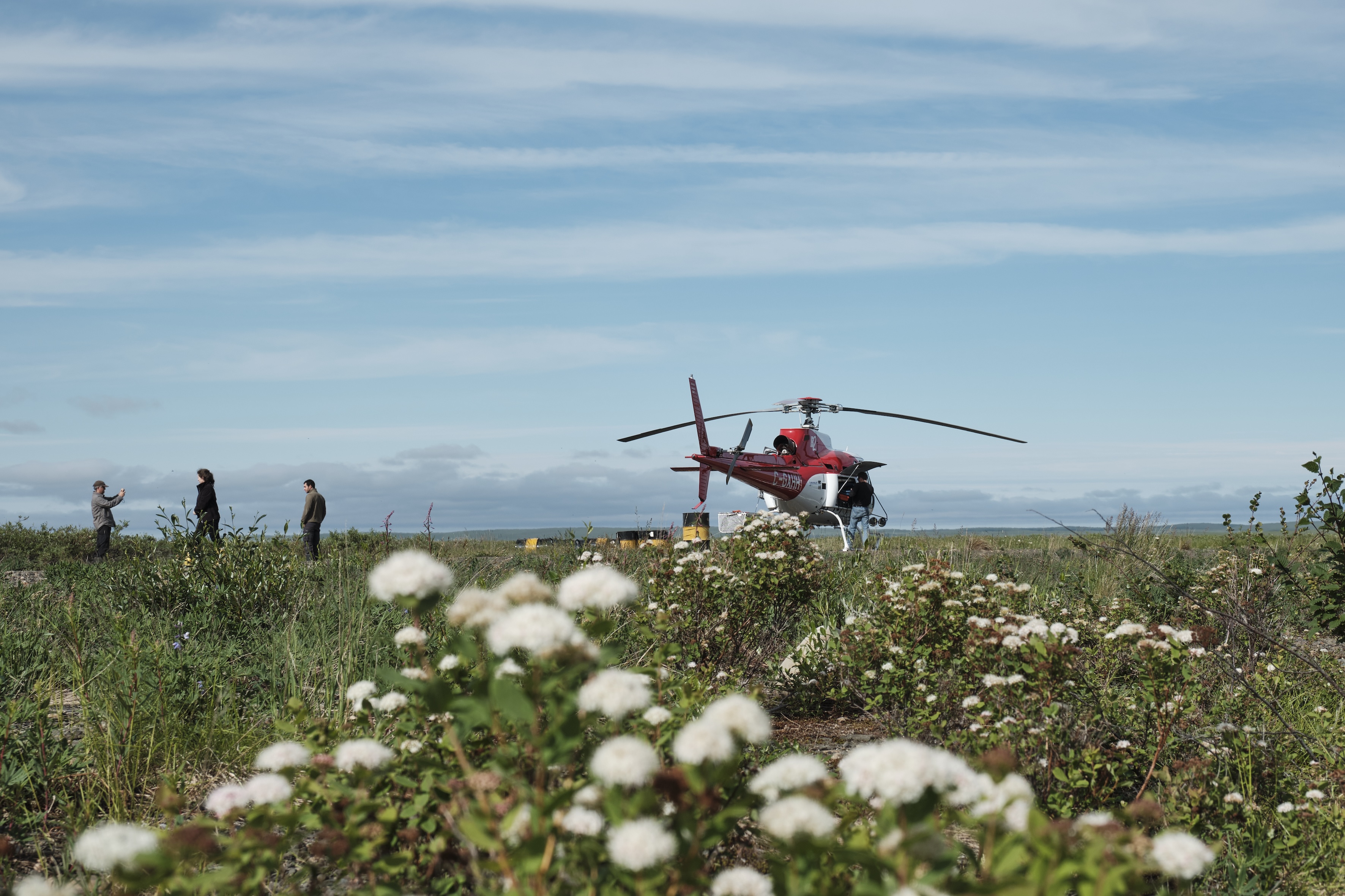 WP6 - Ecosystem Services